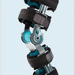 Deluxe Knee Brace